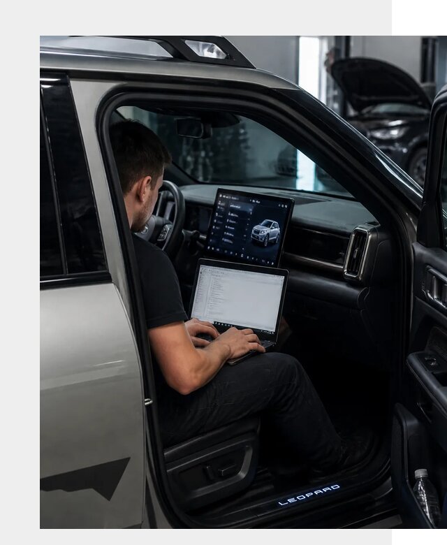 Русификация BYD Leopard 3 в Туле по цене от 20236 р. | ФастМобиль-Тул